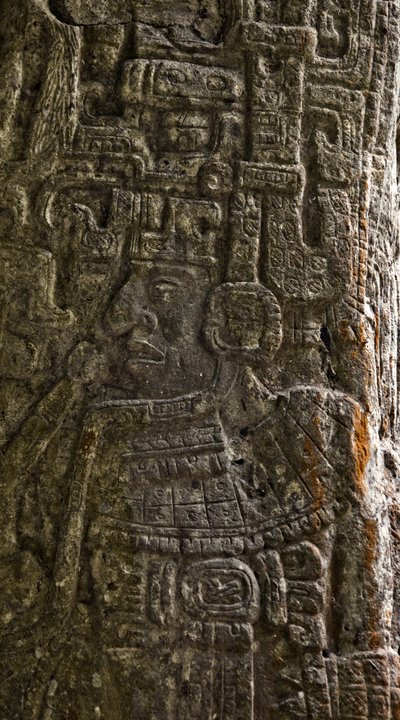Detail der Stela 14, die einen Ballspieler darstellt (Detail) von Mayan